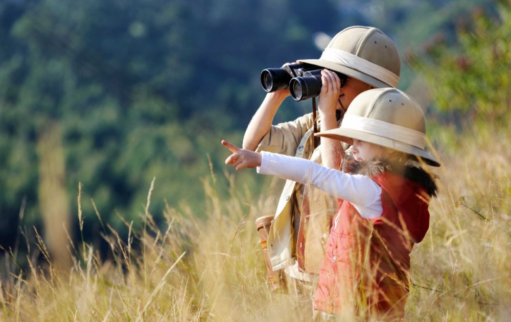 Activities for Kids at home - Kids spy animals walk binoculars