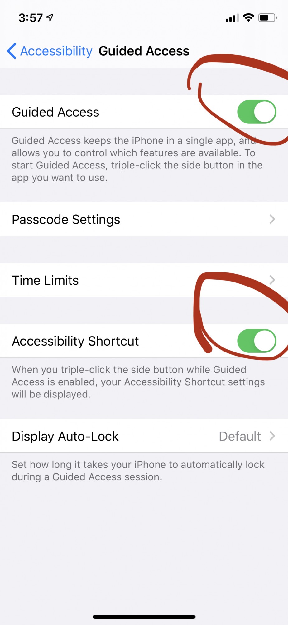 How to lock app in iphone or ipad, How to enable guided access on iPad iPhone stop teenager closing app